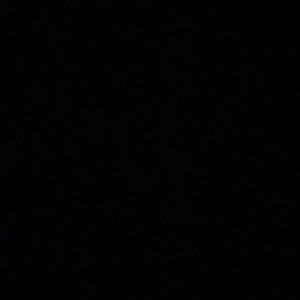 Meet your Posher, Dwayne